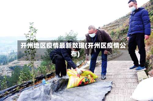 开州地区疫情最新数据(开州区疫情公布)-第2张图片