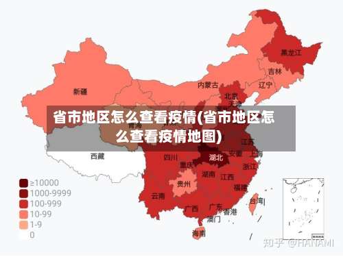 省市地区怎么查看疫情(省市地区怎么查看疫情地图)-第1张图片