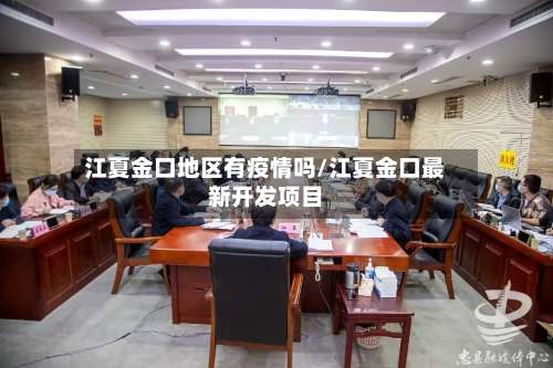 江夏金口地区有疫情吗/江夏金口最新开发项目-第1张图片