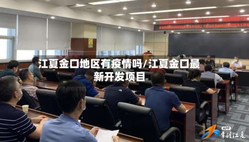 江夏金口地区有疫情吗/江夏金口最新开发项目-第2张图片