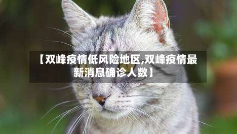 【双峰疫情低风险地区,双峰疫情最新消息确诊人数】-第1张图片
