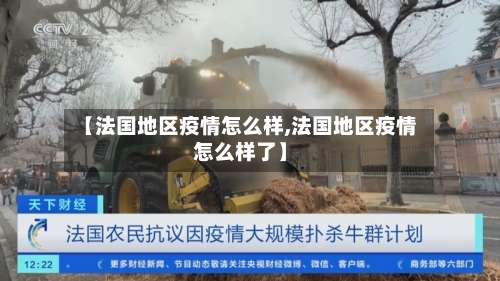 【法国地区疫情怎么样,法国地区疫情怎么样了】-第1张图片