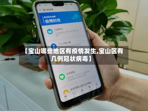 【宝山哪些地区有疫情发生,宝山区有几例冠状病毒】-第1张图片