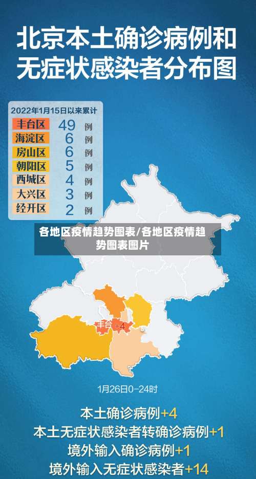 各地区疫情趋势图表/各地区疫情趋势图表图片-第2张图片