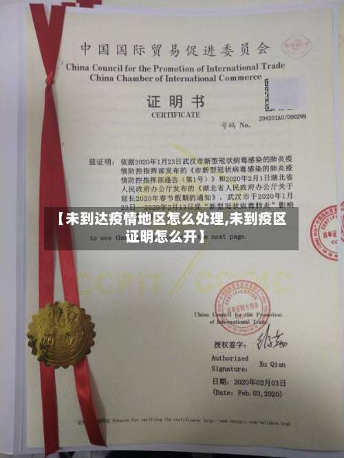 【未到达疫情地区怎么处理,未到疫区证明怎么开】-第2张图片