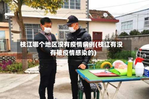枝江哪个地区没有疫情病例(枝江有没有被疫情感染的)-第3张图片