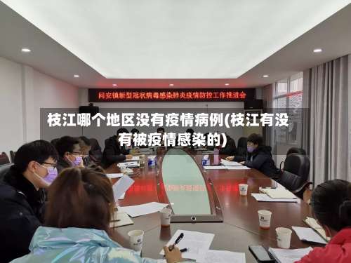 枝江哪个地区没有疫情病例(枝江有没有被疫情感染的)-第2张图片