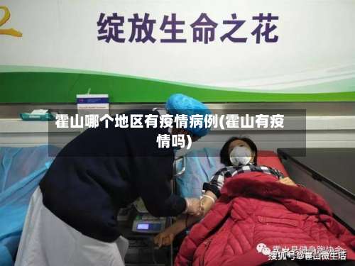 霍山哪个地区有疫情病例(霍山有疫情吗)-第2张图片