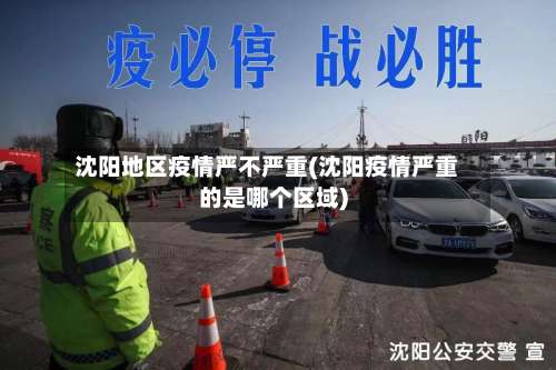 沈阳地区疫情严不严重(沈阳疫情严重的是哪个区域)-第1张图片